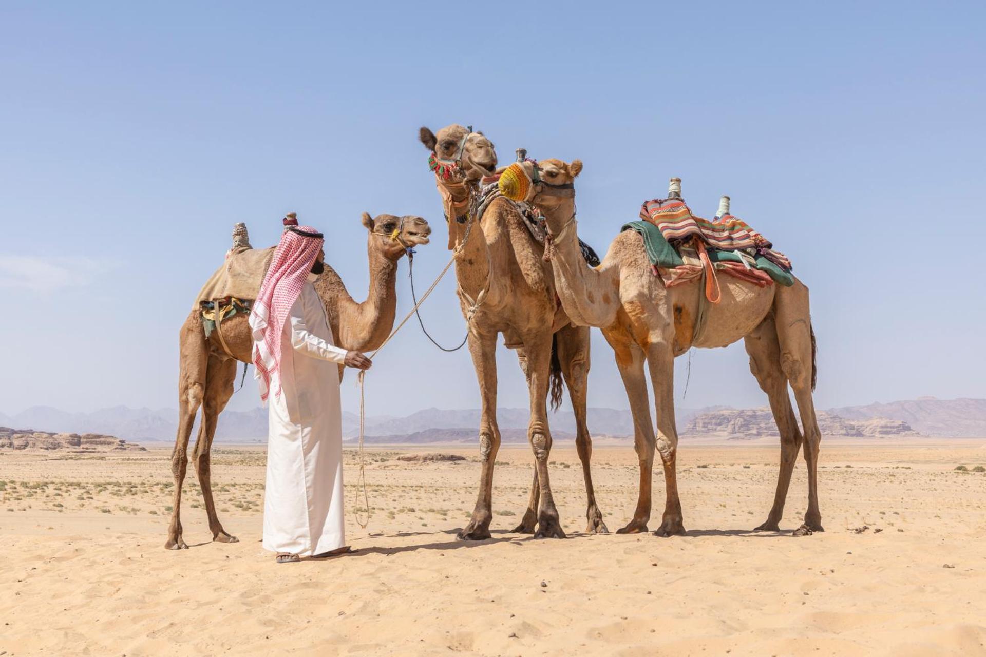 Wadi Rum Camp & Jeep Tour Luaran gambar