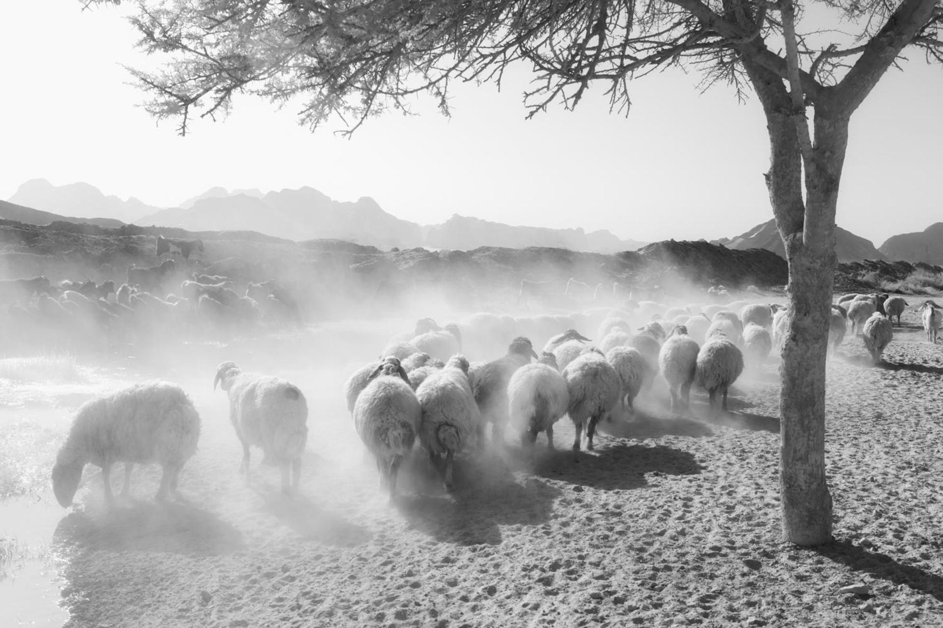 Wadi Rum Camp & Jeep Tour Luaran gambar