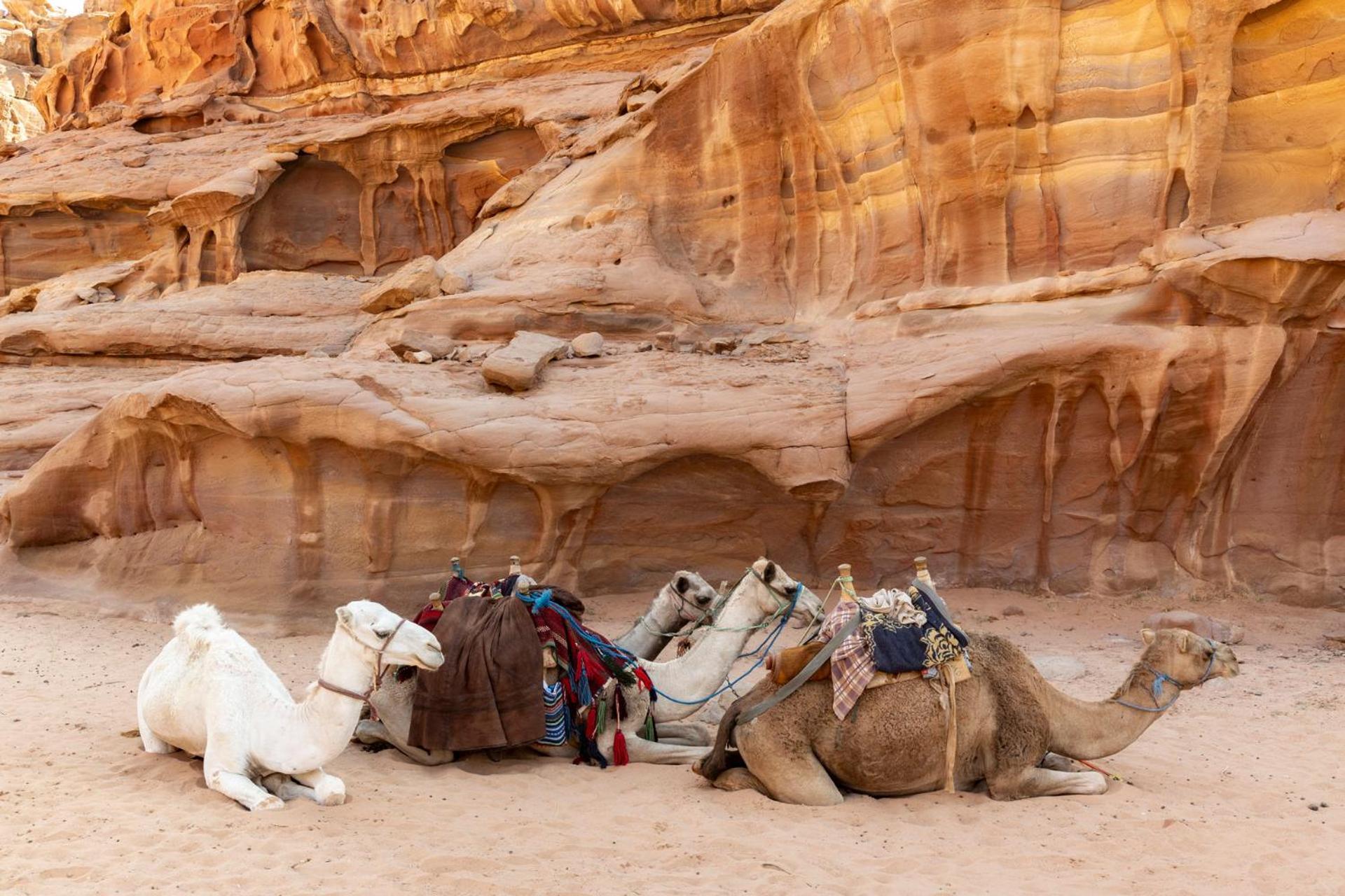 Wadi Rum Camp & Jeep Tour Luaran gambar