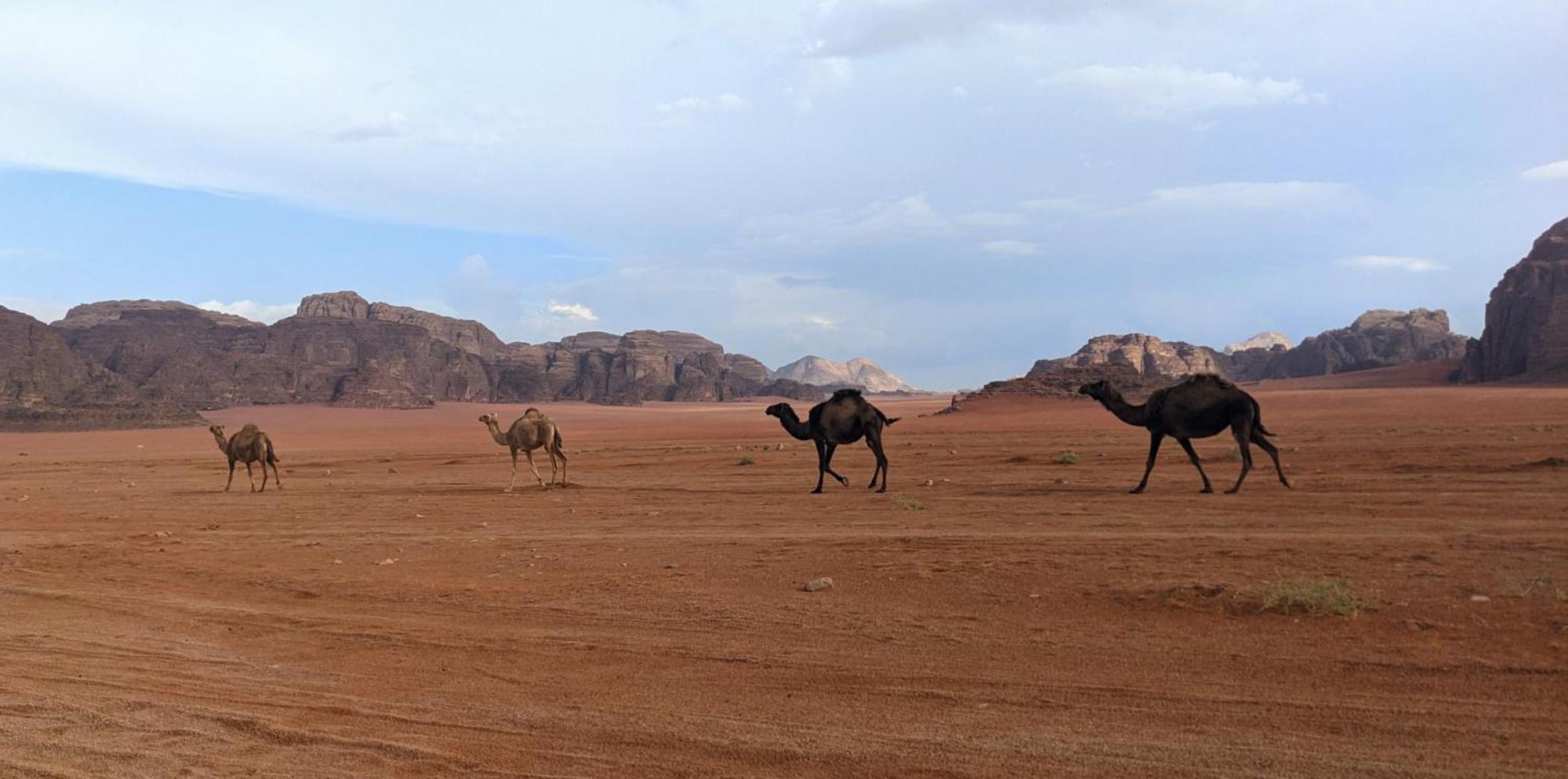 Wadi Rum Camp & Jeep Tour Luaran gambar